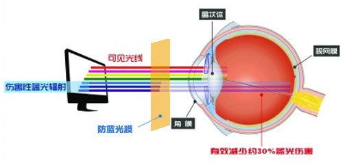 茄子视频污在线观看最新科技成果 茄子免费视频成护眼利器